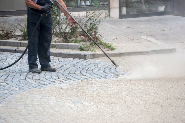 Best Gutter Cleaning and Brightening in Nicholls, GA